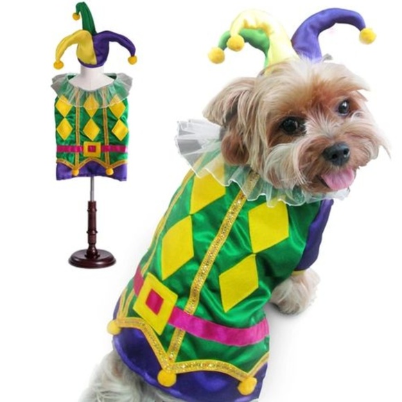 Puppe Love Other - Harlequin Mardi Gras Halloween Dog costume